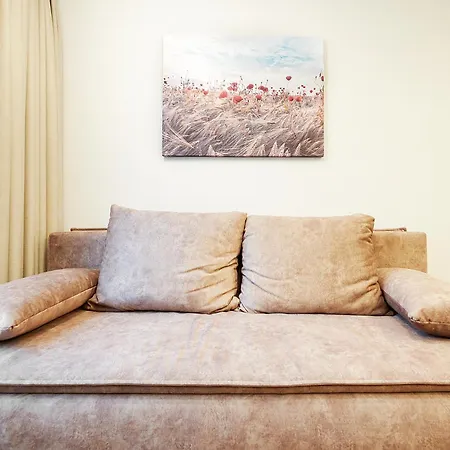 公寓式酒店 Stylish Near The Center