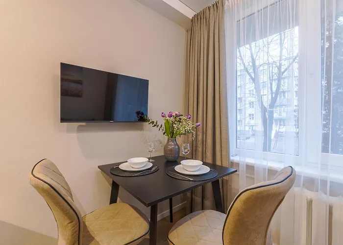 Stylish Near The Center 公寓式酒店 维尔纽斯